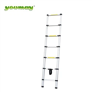 Telescopic Ladder Nrog Log